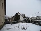 Třibřichy